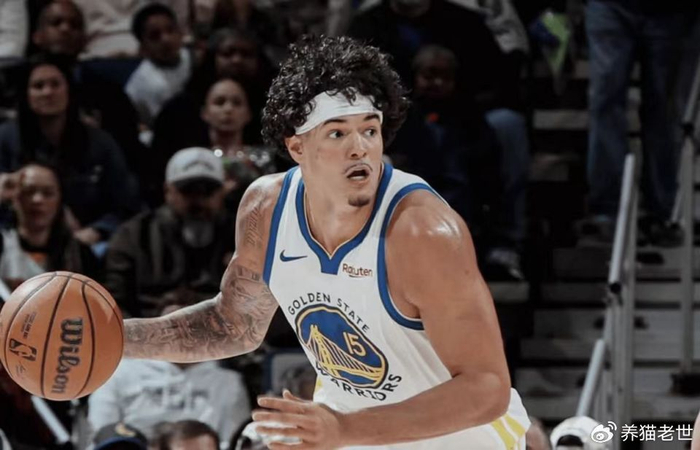 伦纳德绝杀创纪录 约基奇三双领跑NBA常规赛最佳